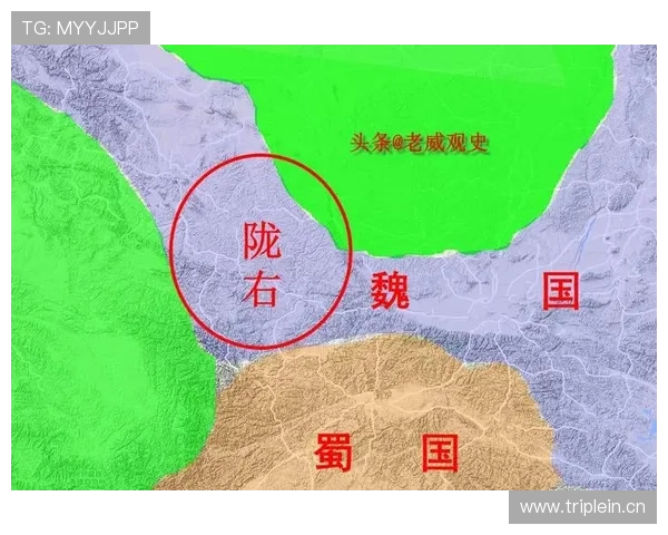 维尔茨欧战关键战稳定输出解析