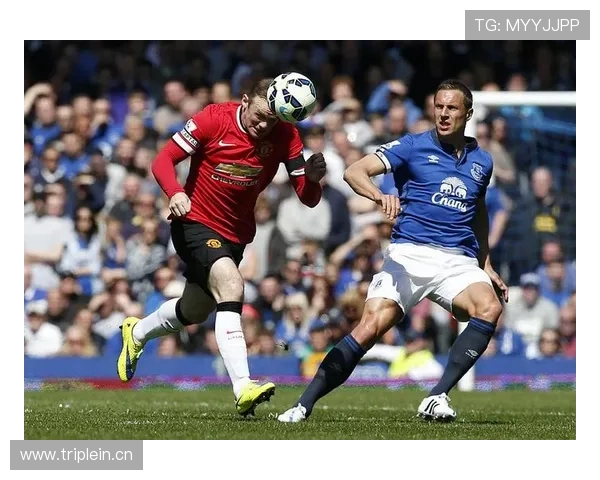 凯恩决赛表现争议：关键战效率与稳定性分析